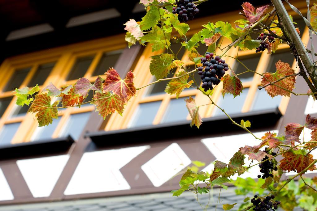 Landgasthof Rebstock Sankt Goar Extérieur photo